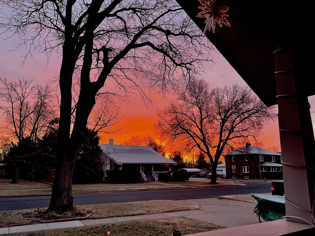 A view of the sunrise from the author's porch, the street and a few houses across the street are visible beneath the dark silhouettes of trees set against an orange-pink sky.